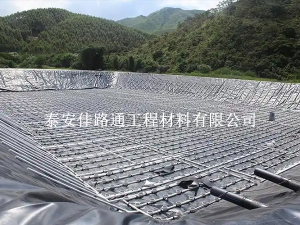 水產(chǎn)養(yǎng)殖新寵：防滲土工膜帶來革命性變革